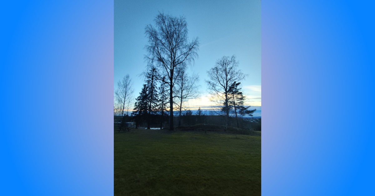 Trees on a hill, blocking the city skyline