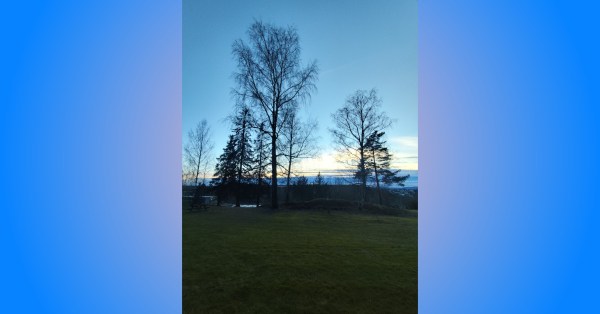 Trees on a hill, blocking the city skyline