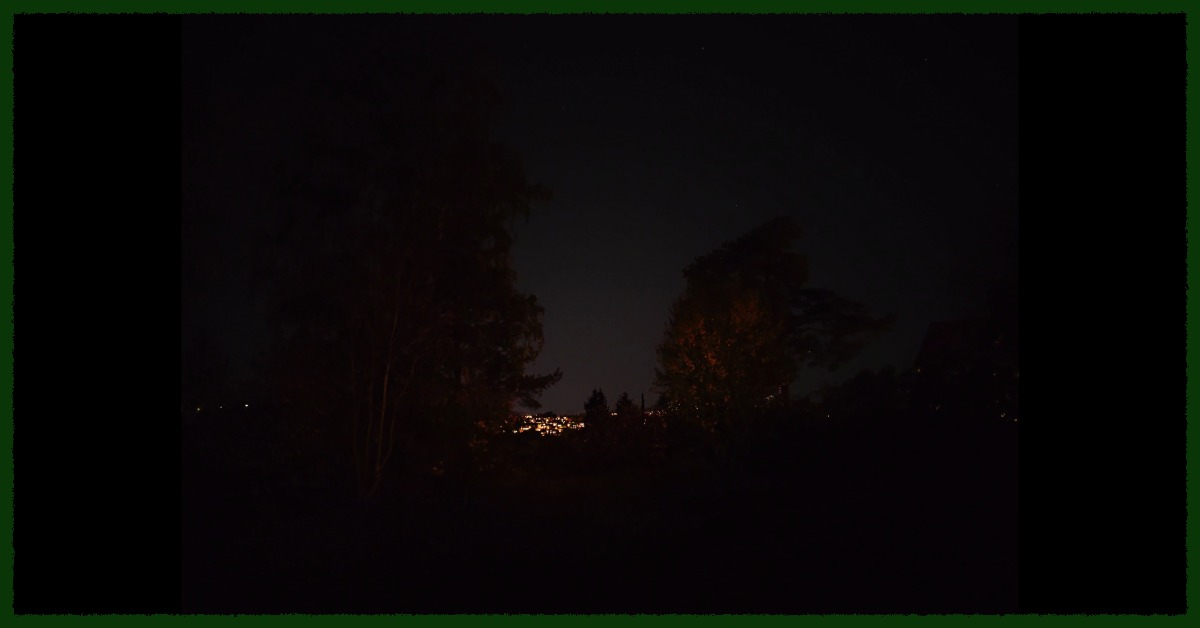 Trees at night