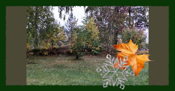 Autumn foliage with sleet